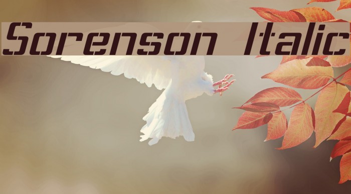 Sorenson Italic Font examples