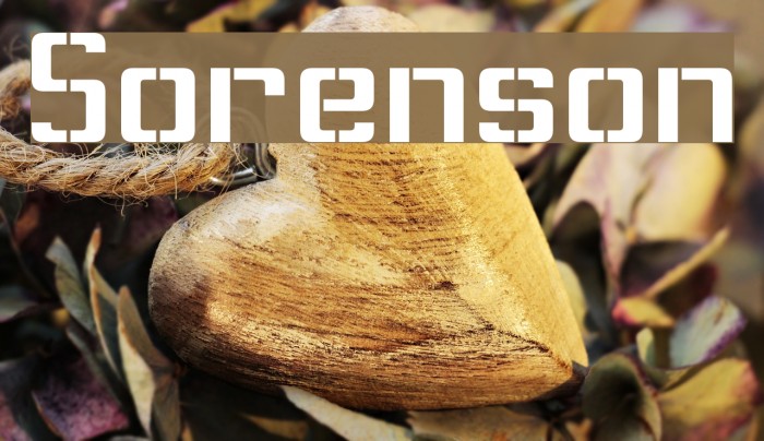 Sorenson Font examples