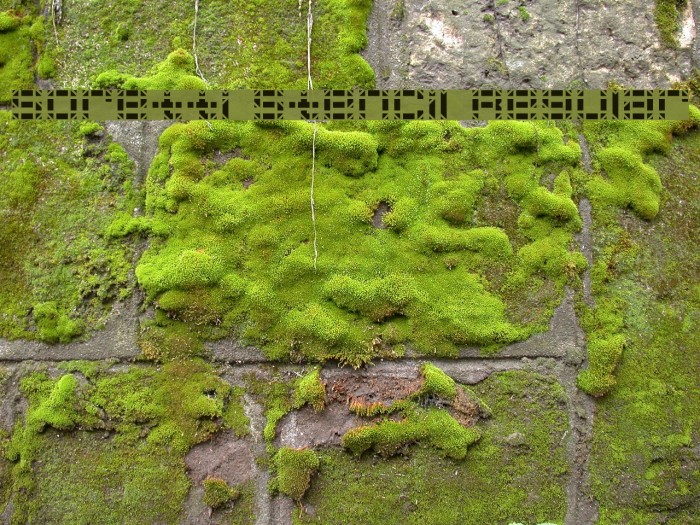 Soretti Stencil Regular Example 1