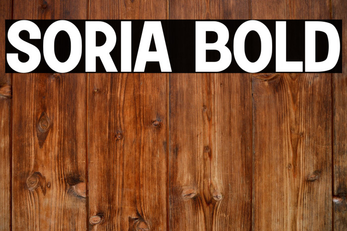 Soria Bold Example 2