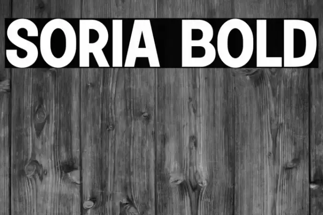 Soria Bold Font examples