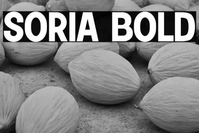 Soria Bold Font examples