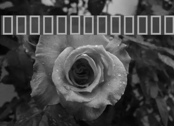 Sorkhpust Font examples