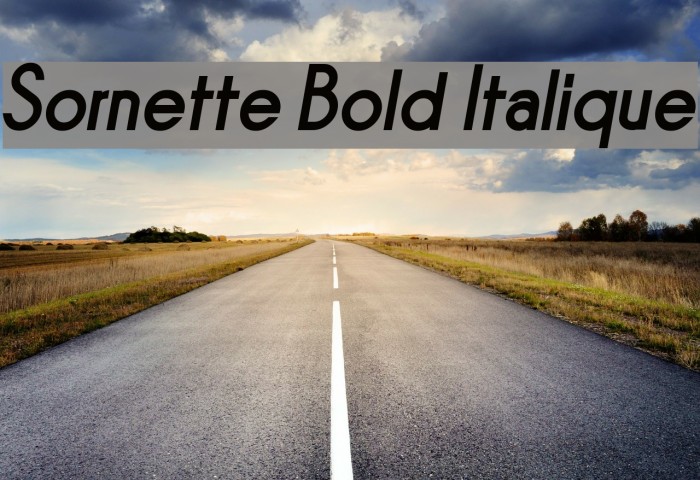 Sornette Bold Italique Font examples