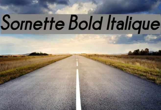 Sornette Bold Italique Example 1