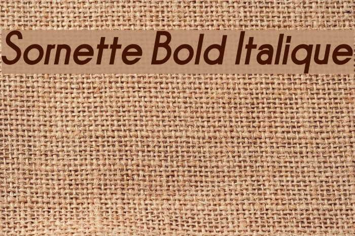 Sornette Bold Italique Font examples