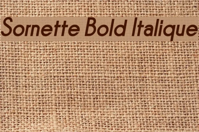 Sornette Bold Italique Example 2