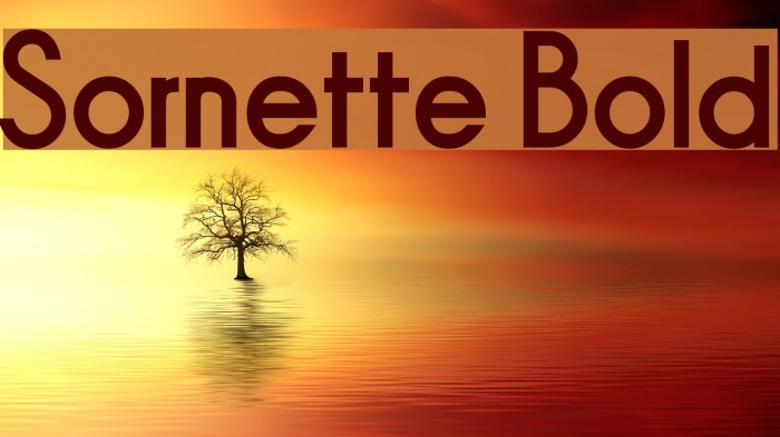 Sornette Bold Font examples