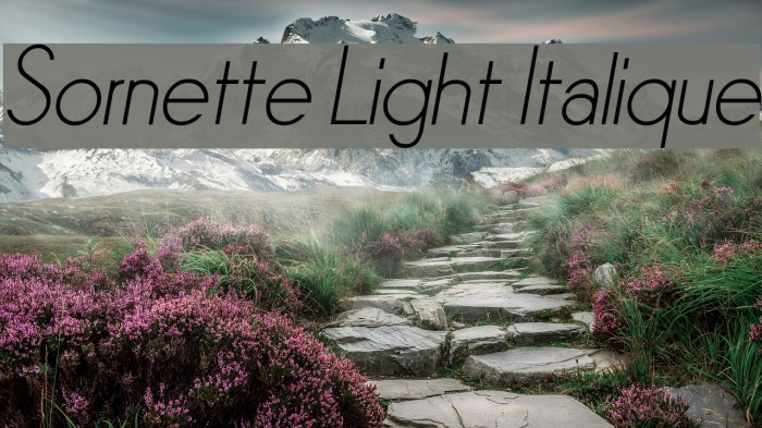 Sornette Light Italique Font examples