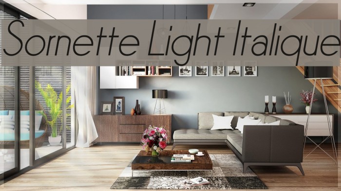 Sornette Light Italique Font examples