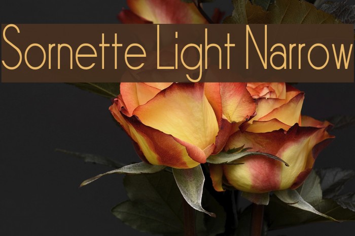 Sornette Light Narrow Example 1