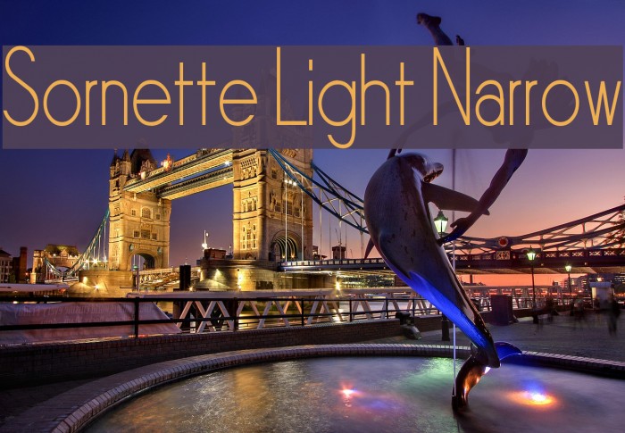 Sornette Light Narrow Example 2