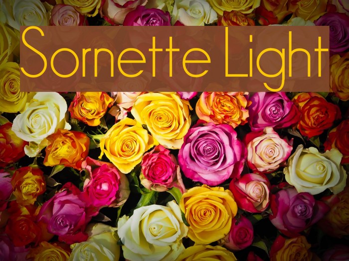 Sornette Light Font examples