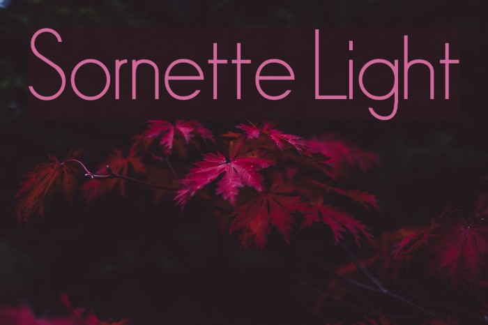 Sornette Light Font examples