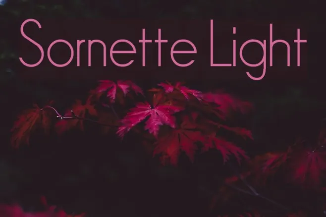 Sornette Light Example 2