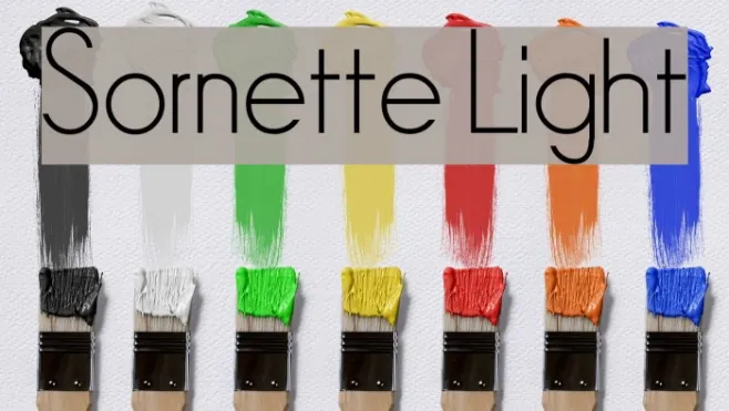 Sornette Light Example 3