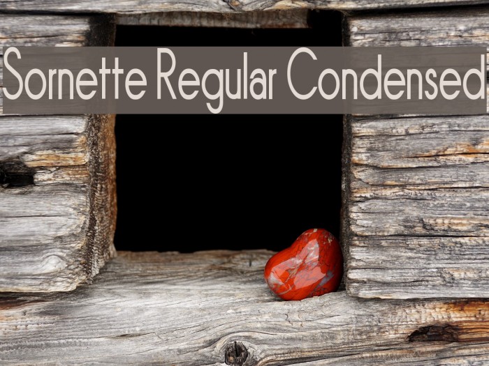Sornette Regular Condensed Font examples