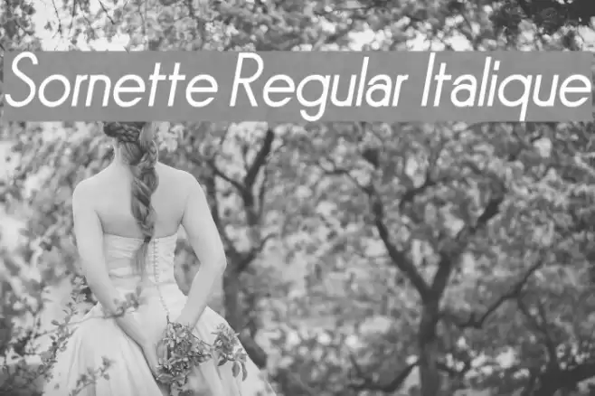 Sornette Regular Italique Font examples