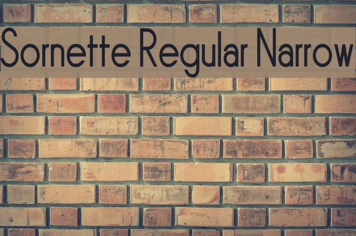 Sornette Regular Narrow Font examples