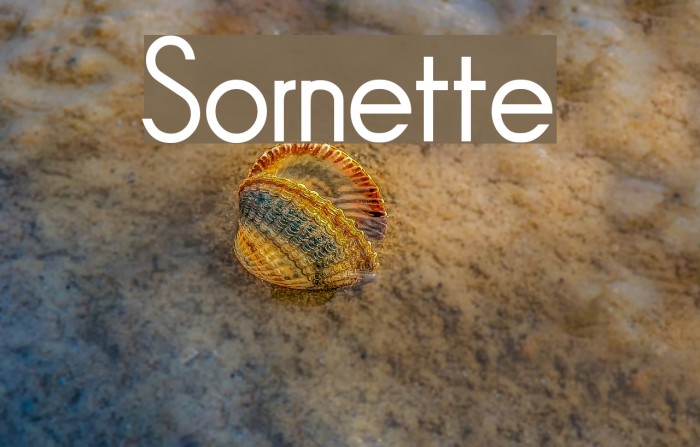 Sornette Font examples