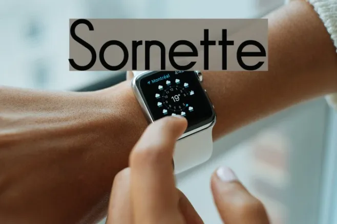 Sornette Example 2