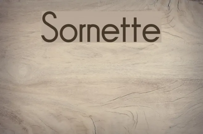 Sornette Example 3