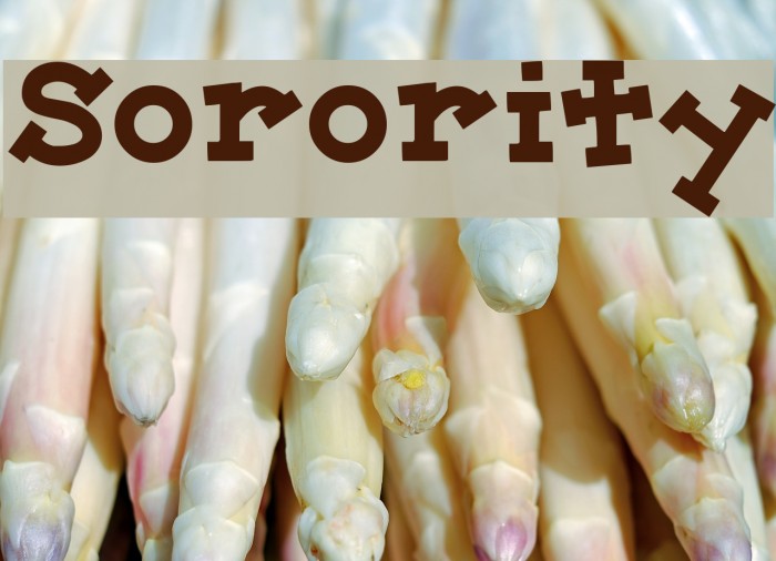 Sorority Font examples