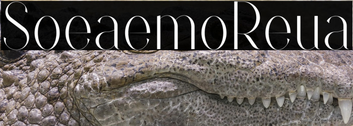 Sorrelia Demo Regular Example 2