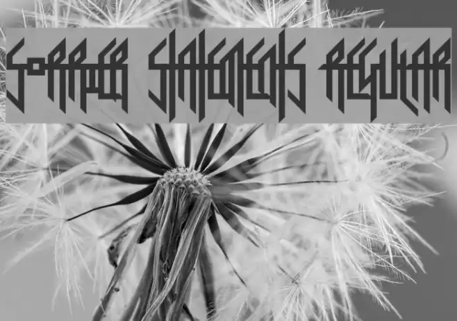 Sorrier Statements Regular Font examples