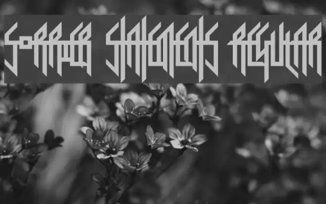 Sorrier Statements Regular Font examples