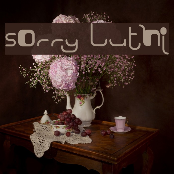 Sorry Luthi Font examples