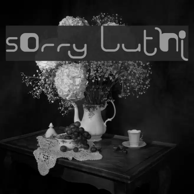 Sorry Luthi Font examples