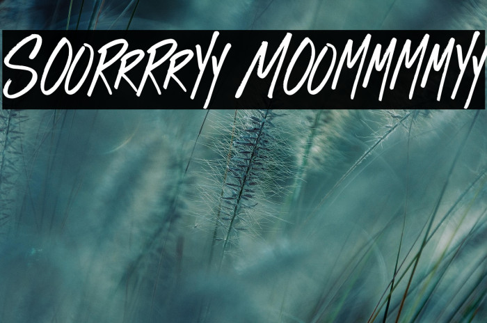 Sorry Mommy Example 2