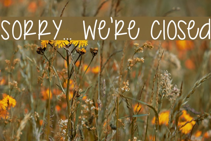 Sorry... We're Closed Example 2