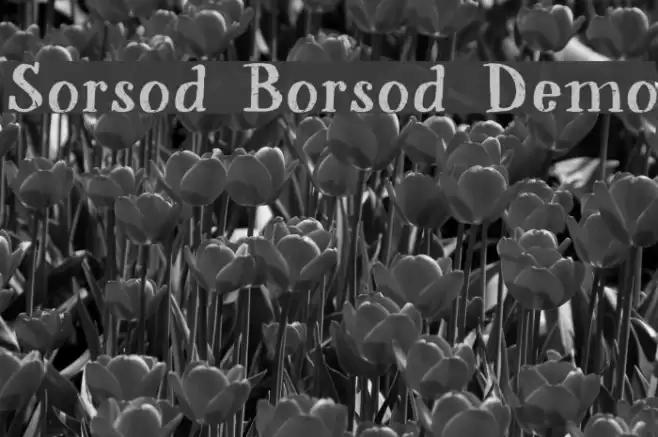 Sorsod Borsod Demo Font examples