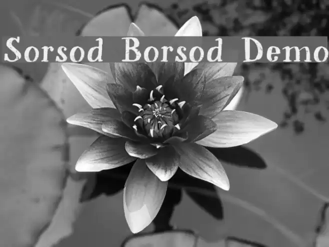 Sorsod Borsod Demo Font examples