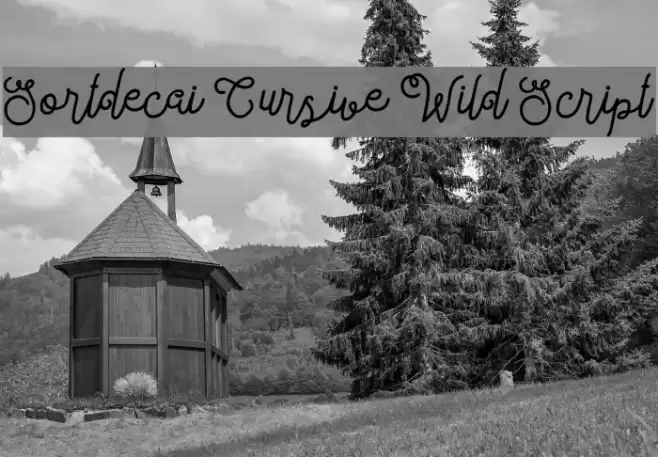 Sortdecai Cursive Wild Script Font examples