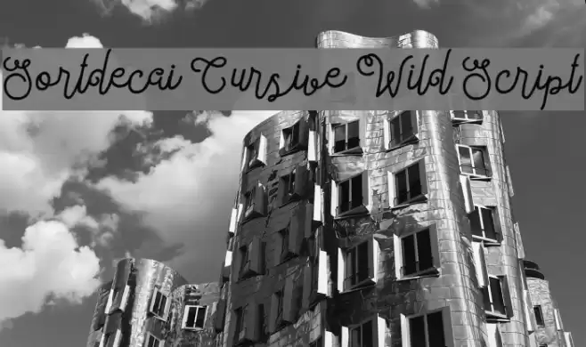 Sortdecai Cursive Wild Script Font examples