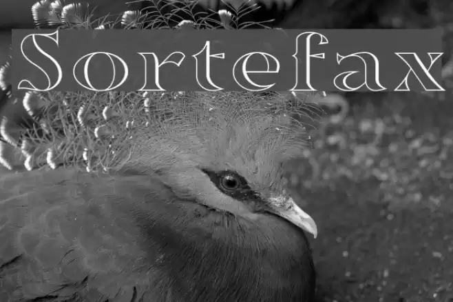 Sortefax Font examples