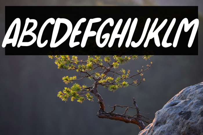 Sortelo Italic Italic Example 1