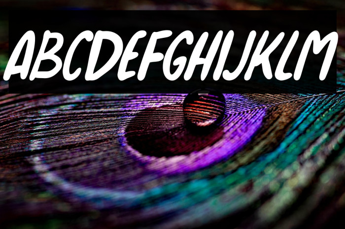 Sortelo Italic Italic Example 3