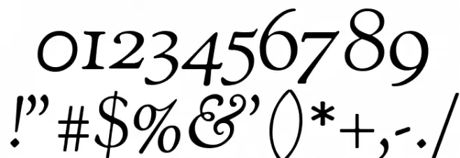 Sorts Mill Goudy Italic Font OTHER CHARS