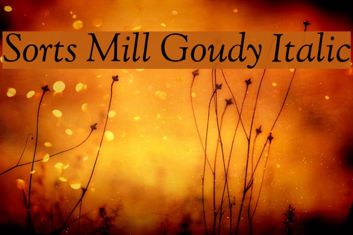 Sorts Mill Goudy Italic Font examples