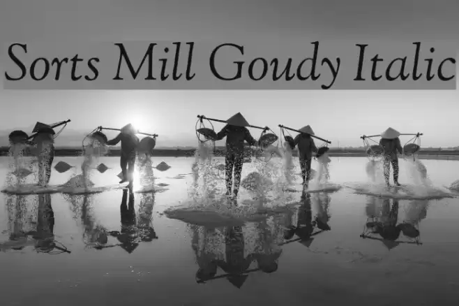 Sorts Mill Goudy Italic Font examples