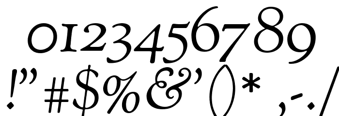Sorts Mill Goudy TT Italic Font OTHER CHARS