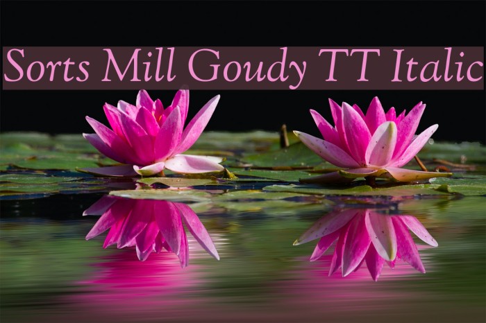 Sorts Mill Goudy TT Italic Font examples