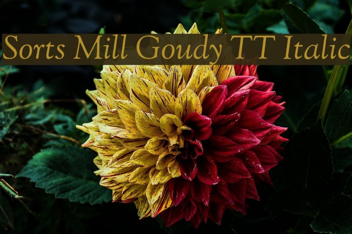 Sorts Mill Goudy TT Italic Font examples