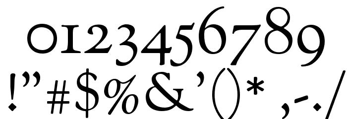 Sorts Mill Goudy TT Regular Font OTHER CHARS