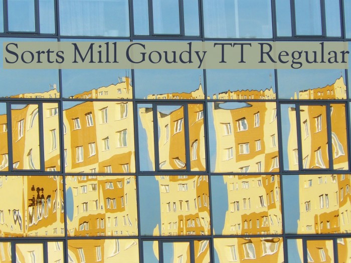 Sorts Mill Goudy TT Regular Font examples