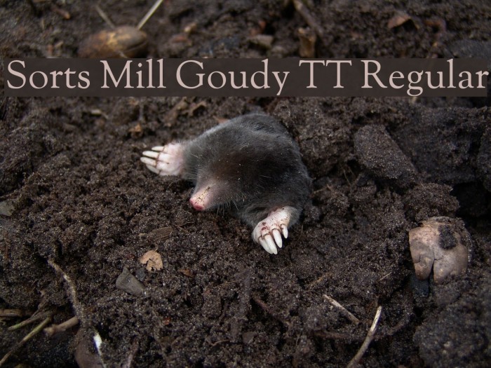Sorts Mill Goudy TT Regular Font examples
